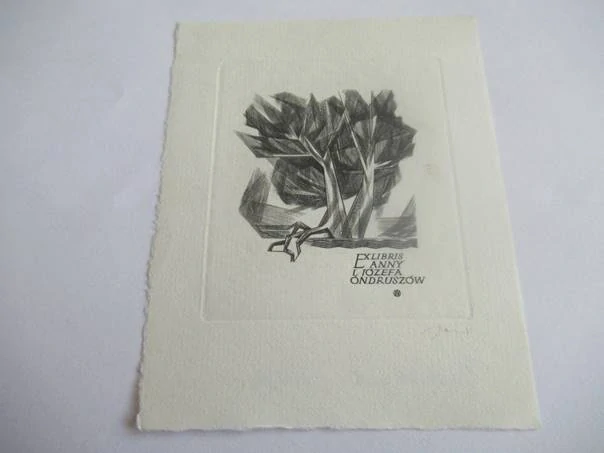 Originální Mědirytina Exlibris Anny i Jozefa Ondruszów – Motiv Kubistický strom a krajina – Wojciech Jakubowski (11 x 8,5 cm)