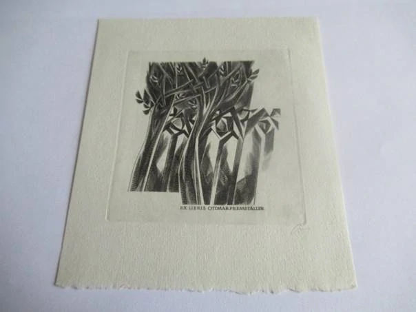 Exlibris – Ottmar Premstaller – T. Teubel – Rakousko – původní rytina / lept (C3) – 11,5×10 cm