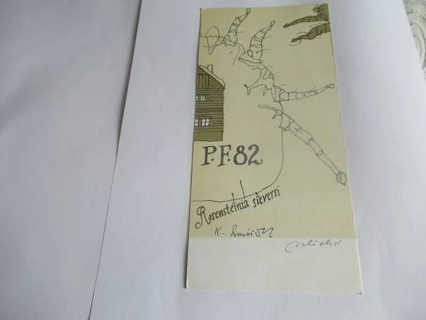 Původní sběratelská novoročenka PF 82 K. Samšiňák – autor Zdeněk Mlčoch, motiv Rosensteinia sieversi (20,5 × 9,5 cm)