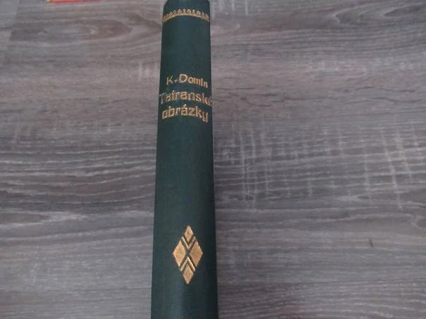 Kniha Tatranské obrazy (1926) – Dr. Karel Domin, s 64 celostránkovými holarotypickými obrazy, nakladatelství J. Otto v Praze, rozměr 22,5 × 15 cm