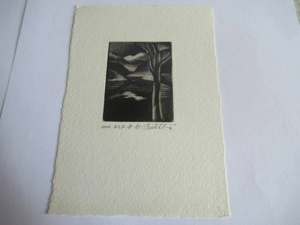 Volná grafika s motivem noční krajiny s jezerem a stromem, autor Marie Michaela Šechtlová, originální autorský tisk, rozměr 14,5 × 10 cm