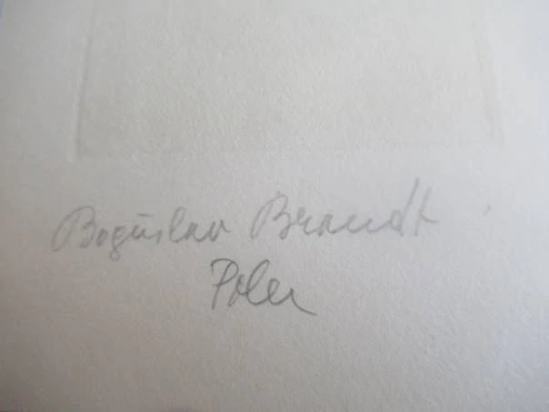 Originální Mědirytina Exlibris Museum Publicum Przypkowski – Motiv Historické pečetě a erby – Bogusław Brandt (15 x 11 cm)