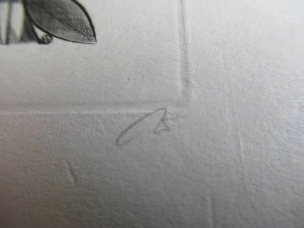 Originální Mědirytina Exlibris Věra Krupková – Motiv Stylizovaný kmen s listy a číslované vydání – Wojciech Jakubowski (12,5 x 8 cm)