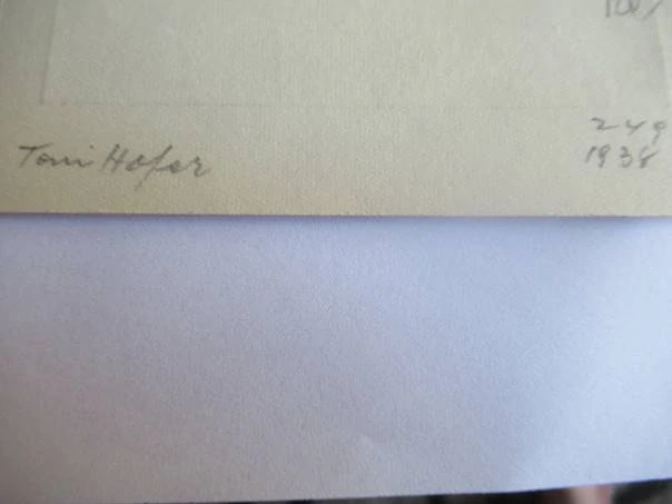 Novoročenka / Exlibris – Schutzengel-Apotheke Wien – Toni Hofer (1938) – Motiv: Zářící slunce s Aeskulapovou holí, originální linoryt (16 x 10 cm)