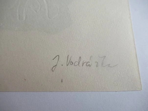 Exlibris J. V. – Jaroslav Vodrážka, cca 1960 – originální dřevořez, motiv lidské hlavy, sovy a ptactva v přírodě, 19x14,5 cm