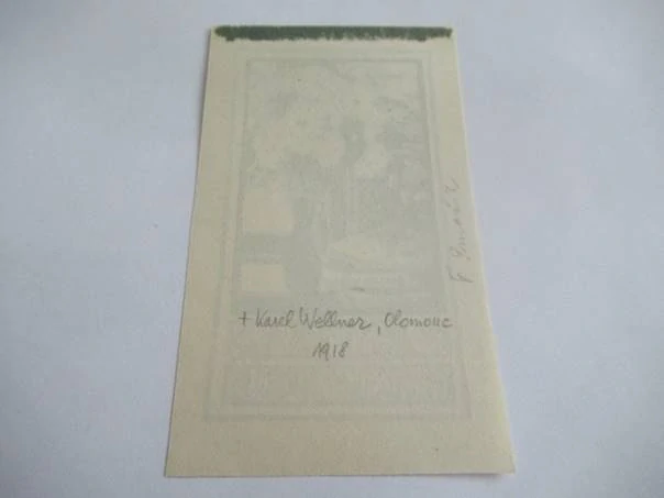Exlibris M. Žákovcové – Karel Wellner, 1918 – originální dvoubarevná zinkografie, secesní motiv vázy s květinami a knih, 11,5x7 cm