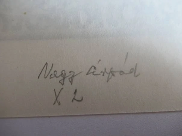Exlibris – Harmos Károly – Nagy Árpád – Satirická alegorie umění (Malířská paleta a postavy) – 20,5×14,5 cm – dřevoryt (X2)