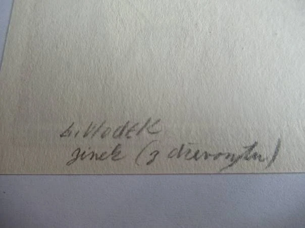 Exlibris – František Vacek – L. Wlodek – motiv: Portrét muže v saku s kravatou – 10×8 cm – zinkografie z dřevorytu