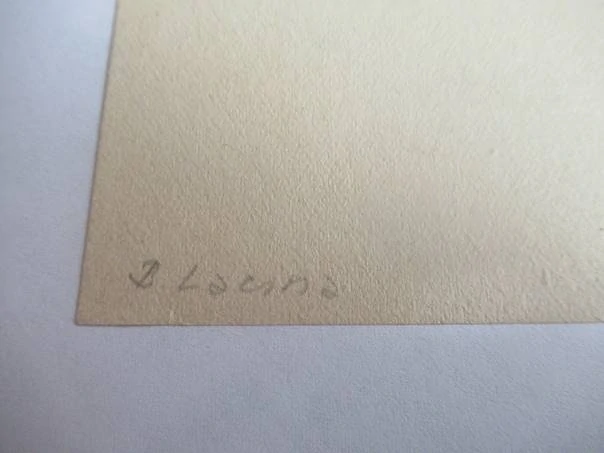 Exlibris – F. Habese – B. Lacina – motiv: Trst sedmikrásek (sedmikrásky) – 10,5×7 cm – dřevoryt (X2)