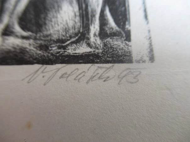 Exlibris – Ireny Novákové – V. Polosel – motiv: Klasický figurální motiv Tří grácií – rozměry 11,5×8,5 cm – litografie – rok 1993