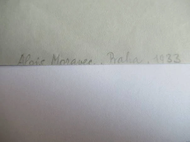 Exlibris – F. E. Pěta – Alois Moravec – motiv: Ženský akt s otevřenou knihou, obrazem růže a psem – rozměry 21×13,5 cm – barevný linoryt / dřevoryt – rok 1933