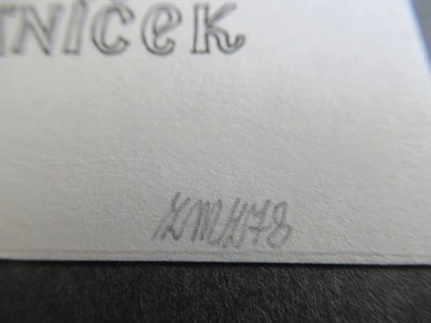 Exlibris – Lubomír Vaníček – Z. M. – Renesanční šlechtična, růže a historické město – zinkografie (P7) / perokresba, podkladový papír 20,5×14,5 cm
