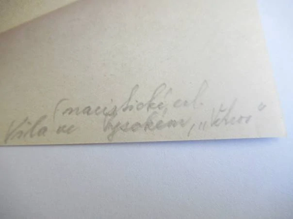 Exlibris – Gauschule Hochstadt – Vila ve Vysokém nad Jizerou „Větrov“ – zinkografie (P7), podkladový papír 20,5×14,5 cm