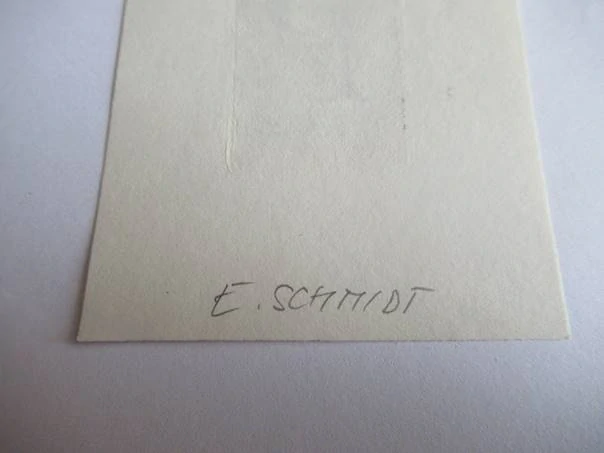 Exlibris – P. Pfister – E. Schmidt – Německo / Rakousko – původní lept / rytina (C3) – 9×6,5 cm