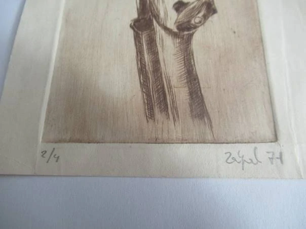 Volná grafika s motivem vyřezávané hlavy lva na krku violoncella (či jiného smyčcového nástroje), vhodné pro sběratele drobné grafiky a hudebních motivů, originální podepsaný a číslovaný tisk, rozměr 20 × 9,5 cm