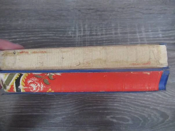 Vzpoura – historický román ze života četníků, vhodné pro sběratele prvorepublikové literatury a četnické tematiky, autor Karel Picka, původní pevná poloplátěná vazba, rozměr 18,5 × 13 cm