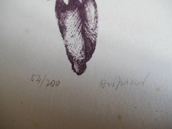 Volná grafika se surrealistickým motivem ženské postavy s květem, originální číslovaný tisk, signováno v tisku i tužkou, rozměr 19,5 × 10 cm