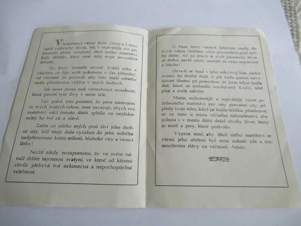Kojící matka - Panna Maria