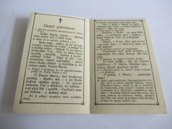 Panna Maria - Pius X.