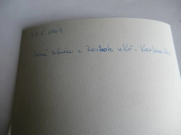 Karlova Ves - 1969 - cca 12,5 x 9 cm