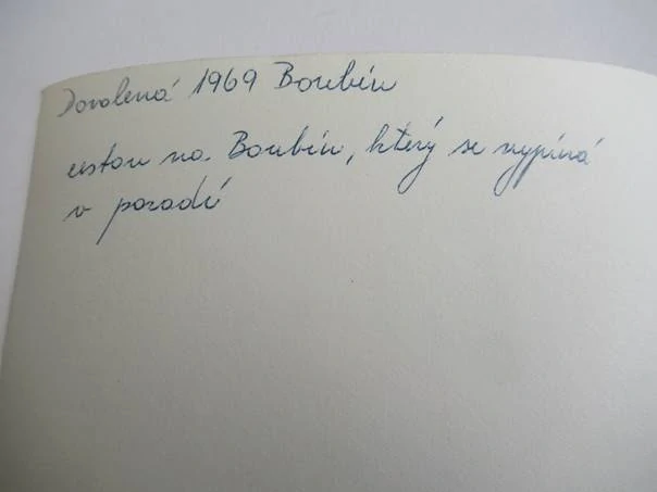 Boubín - 1969 - cca 12,5 x 9 cm
