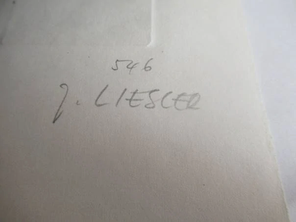 Exlibris – Gianni Mantero – Josef Liesler – motiv: Ženské torzo s rostlinou – 14,5×10 cm – hlubotisk (pasparta 22×15,5 cm)