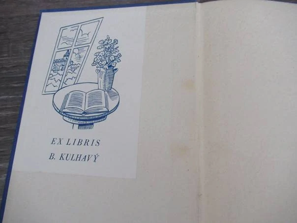 Vzpoura – historický román ze života četníků, vhodné pro sběratele prvorepublikové literatury a četnické tematiky, autor Karel Picka, původní pevná poloplátěná vazba, rozměr 18,5 × 13 cm