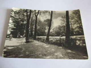 Česká Třebová - městský park Javorka