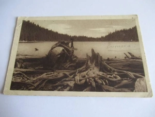 Šumava