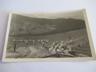 Hradová - Lysá hora - Na salaši