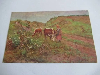 Holčička a krávy