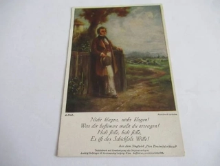 A. Broch - Muž u plotu