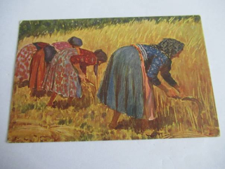 V. Malý - Žně v Mlází