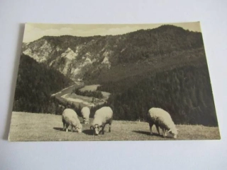 Pieniny - Slovensko