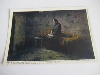 Hus ve vlhkém a tmavém vězení 