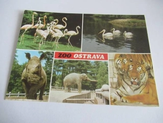 Ostrava - zoo