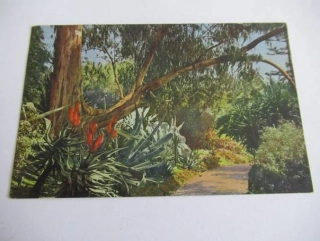 Riviera di Ponente - Itálie