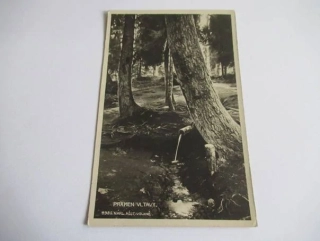 Kvilda - Vimperk - Pramen Vltavy