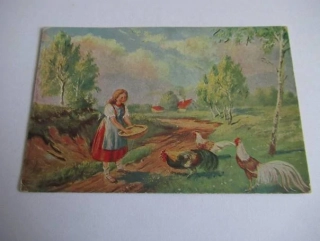 Dívka se slepičkami