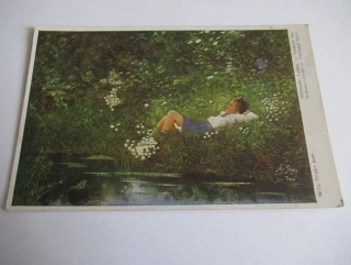 Willy Straka: Květoucí život
