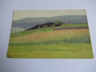 Al. Kalvoda - Pole
