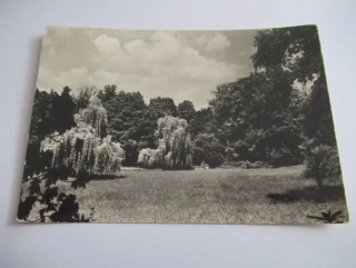Slatiňany - zámecký park