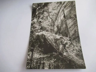 Mšeno - cesta tesaná švédskými vojsky r. 1630