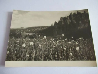 Adršpašské skály - Panoráma