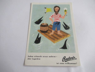 Budvar - pivo