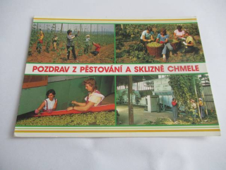 Žatec - Pozdrav z pěstování a sklizně chmelu