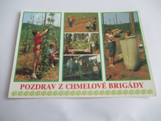 Čížkovice - Pozdrav z pěstování a sklizně chmele