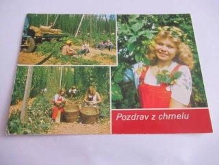 Srbeč - Pozdrav z chmelu
