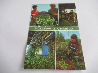Pozdrav z chmelu