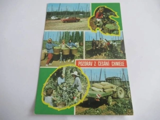 Žatec - Pozdrav z česání chmele
